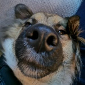 Meet your Posher, Be nice